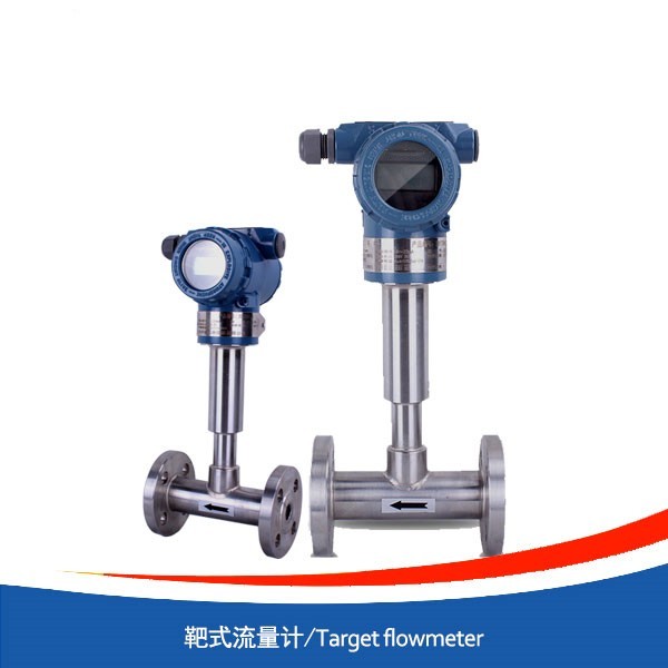 靶式流量計(jì)